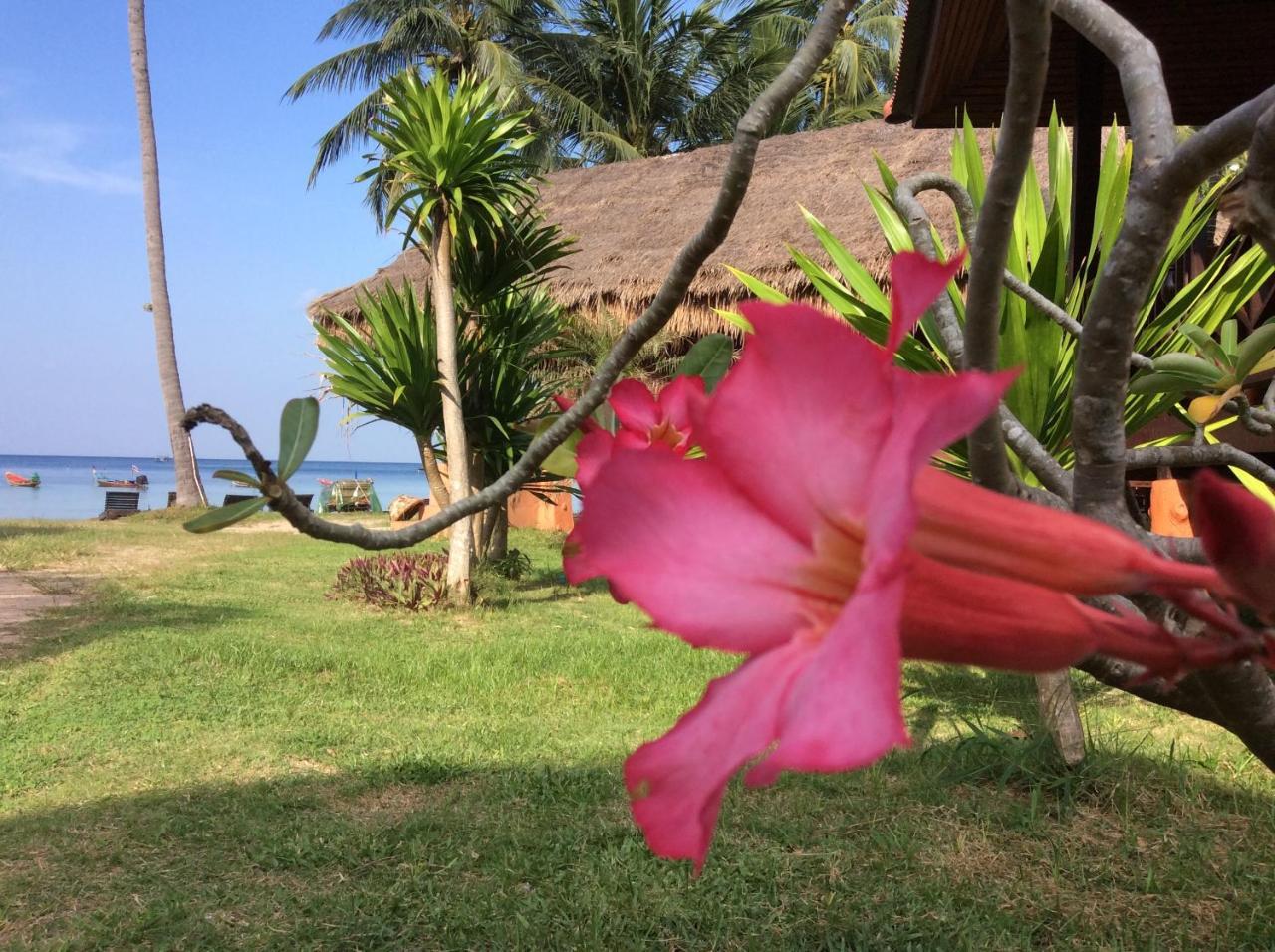 Bow Thong Beach Resort Ko Tao Exterior foto